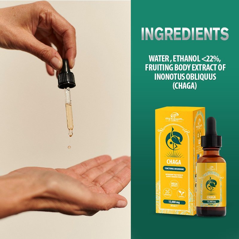 CHAGA MUSHROOM EXTRACT - Image 3