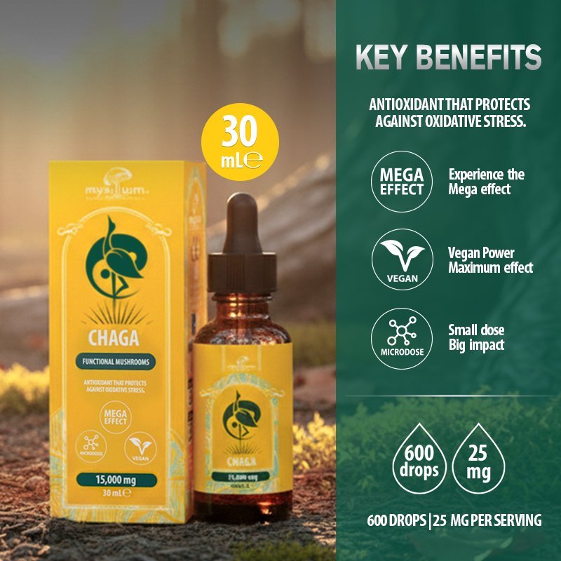 CHAGA MUSHROOM EXTRACT - Image 2