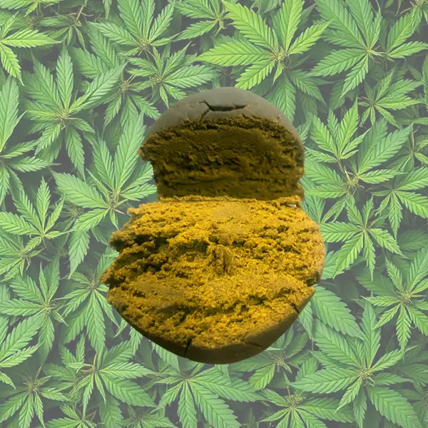 Ice o Lator CBD + 30% THCX 2.0 - Spliff