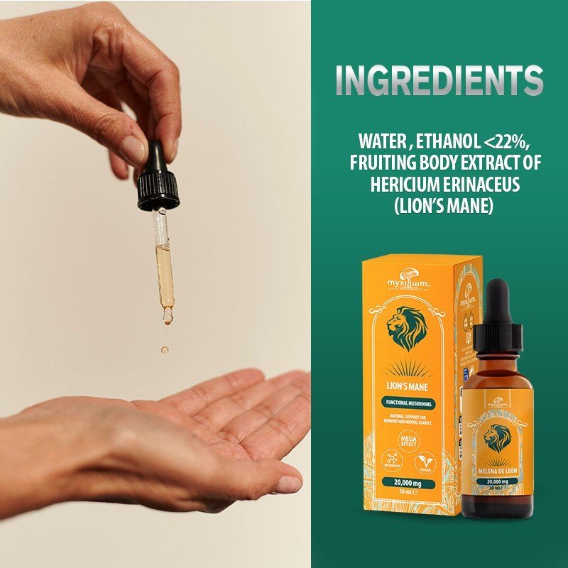Lion’s Mane Mushroom Extract - Image 3