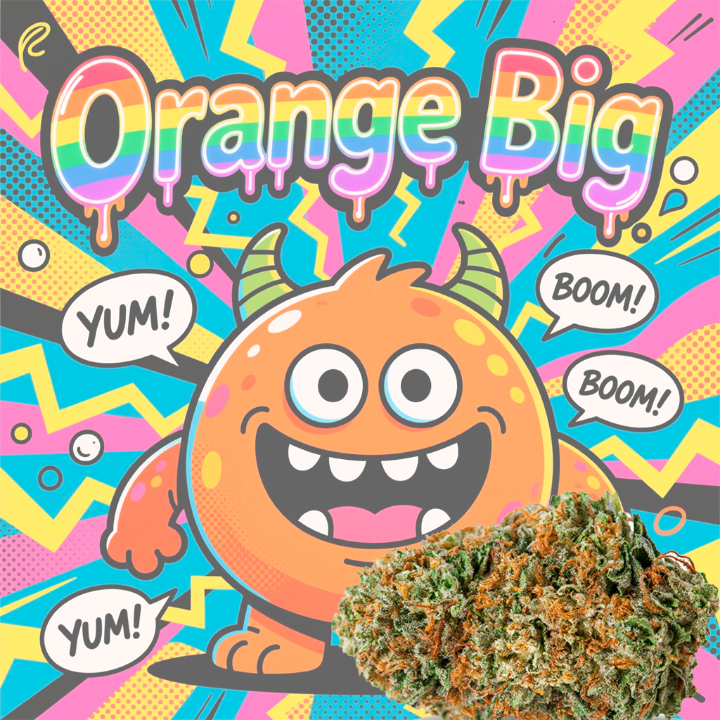 Orange Big CBDV - Image 3