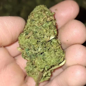 Air-Dry-CBDFarm (1)