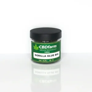 GORULLA-GLUE-BIG-scaled-1.webp