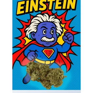 einstein-scaled-1.webp